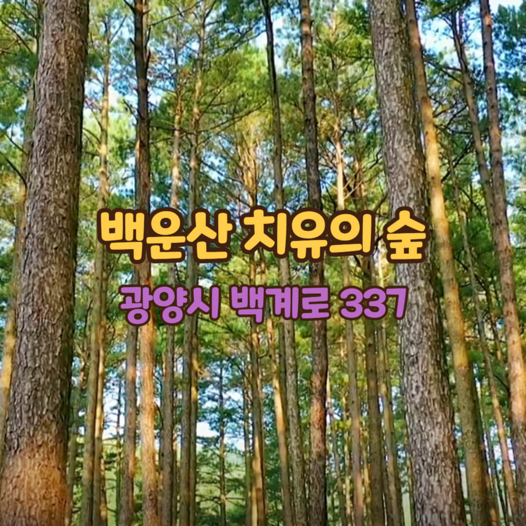 백운산-치유의-숲