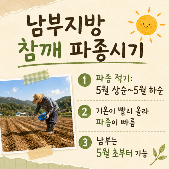 참깨 파종시기