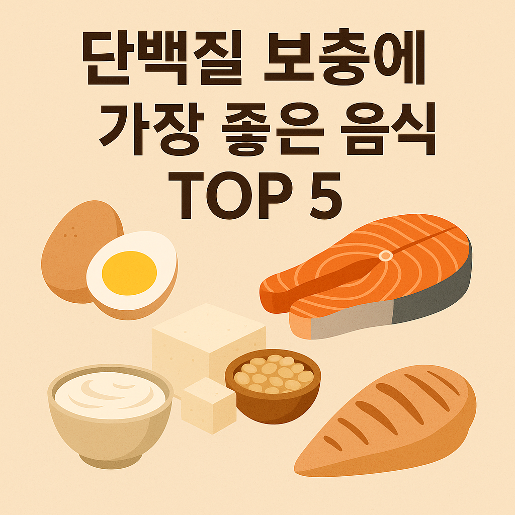 단백질 보충 음식 -사진