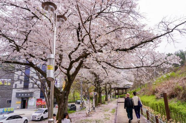 가족과 함께하는 나들이 코스
