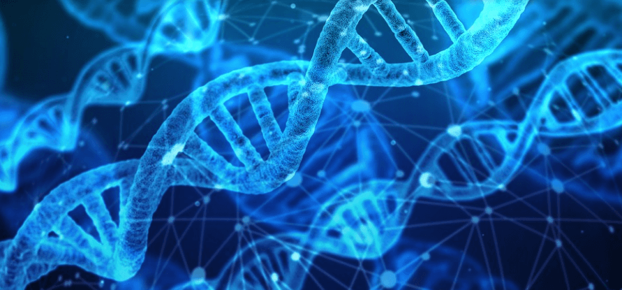 셀레늄이 많은 음식을 유전자 분석하고 있는 자료