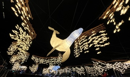 2025 광안리어방축제 총정리|먹거리·포차·할인쿠폰·무료주차 완벽 가이드