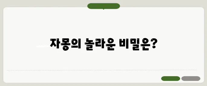 자몽 효능 후기 알아두면 득이 돼요