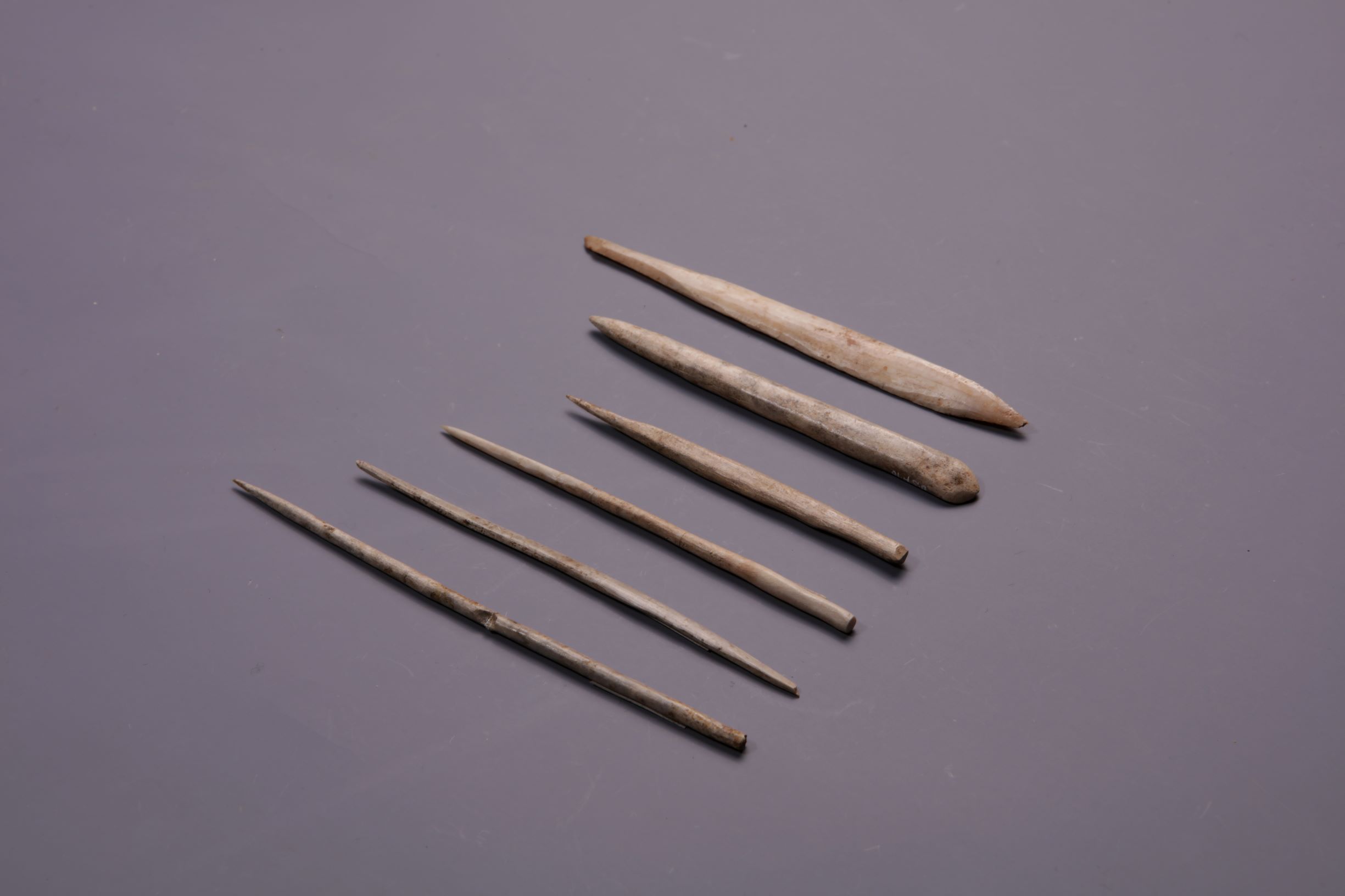 동삼동 패총 전시관