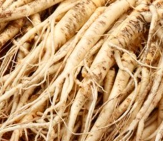 기침에 좋은 한약재