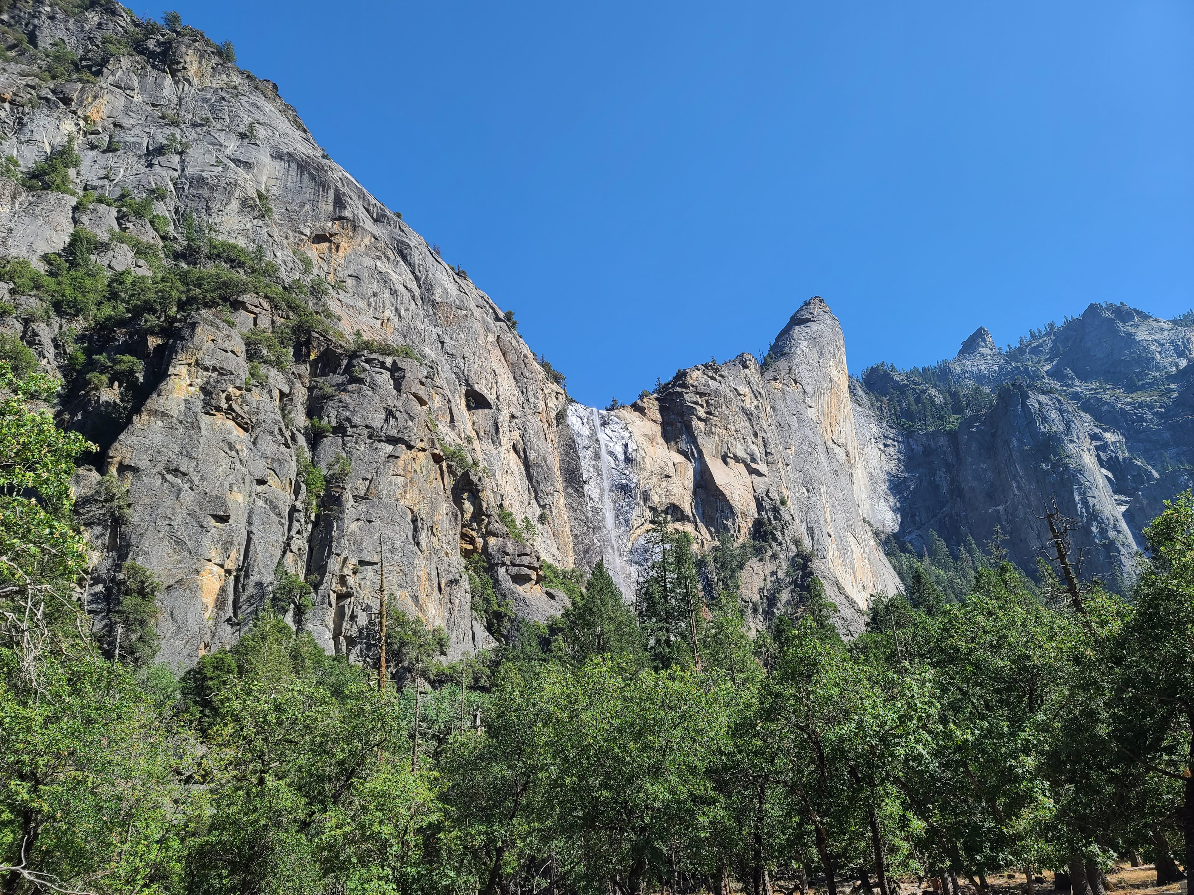 요세미티 국립공원 후기