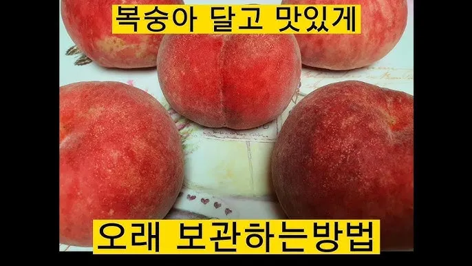복숭아 보관방법과 싱싱하게 유지하는 팁_6