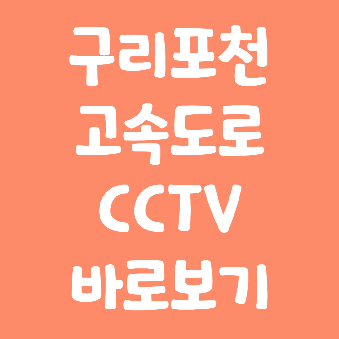 실시간 구리포천 고속도로 CCTV 바로보기