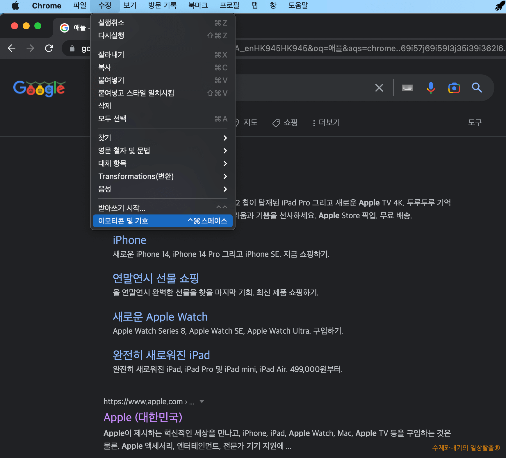 크롬 특수문자