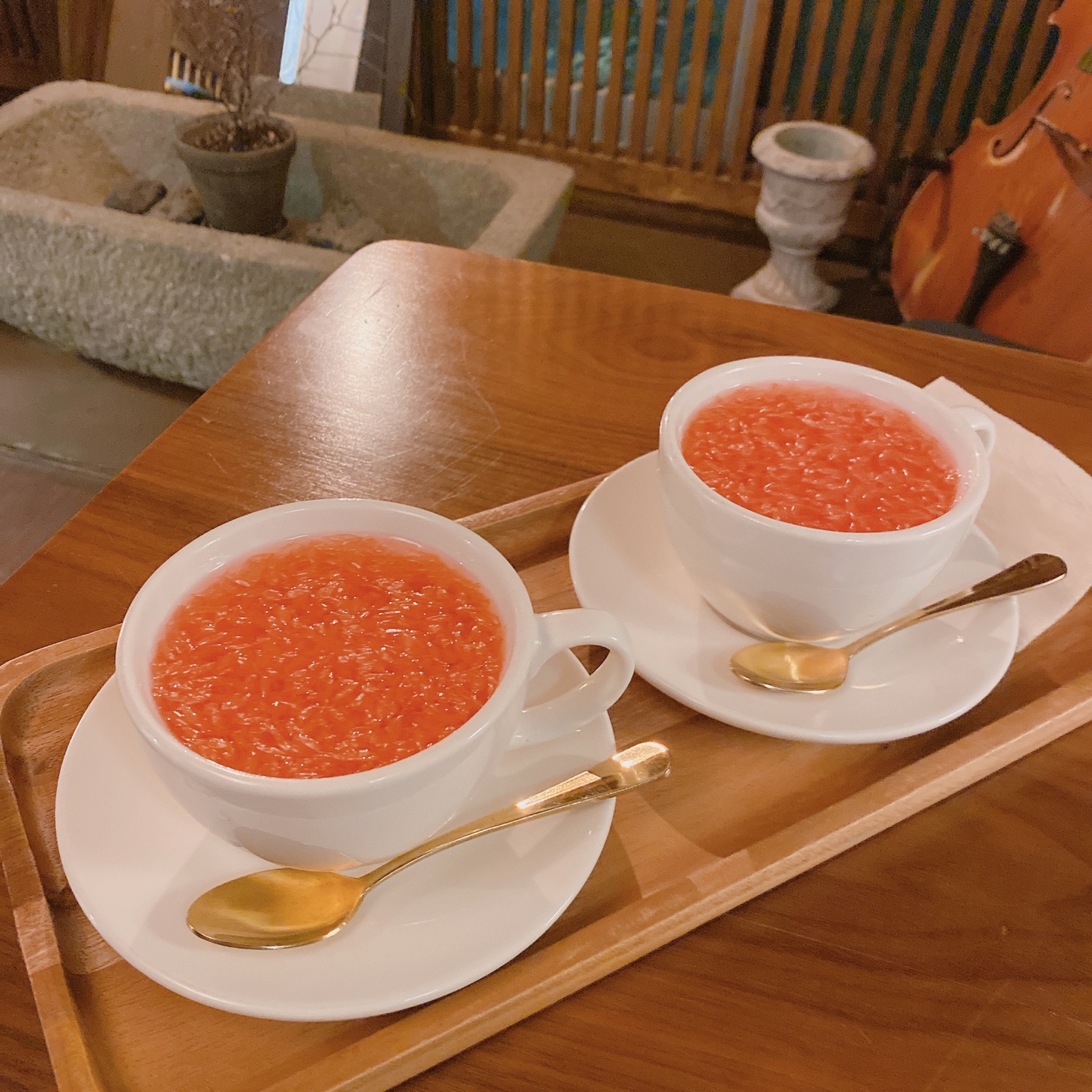 샛도리물 제주 삼양 미쿠니 카페