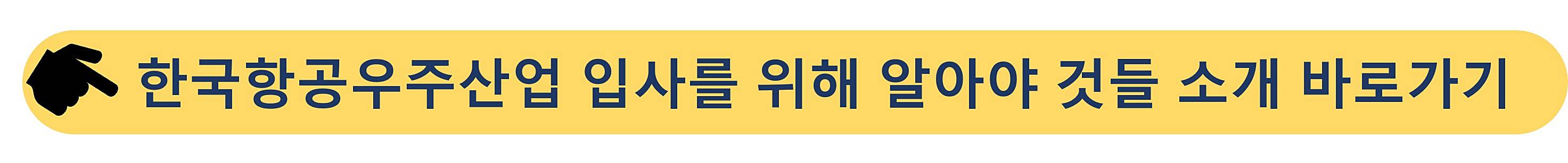 한국항공우주산업-KAI