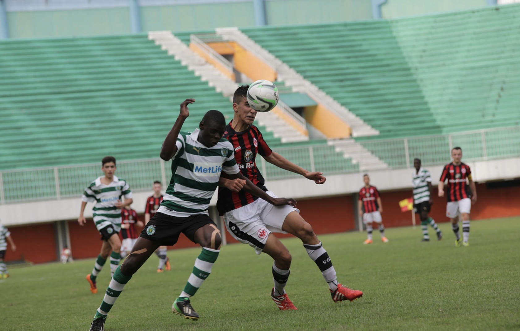 축구 리그 관련 이미지