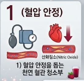 비트 효능