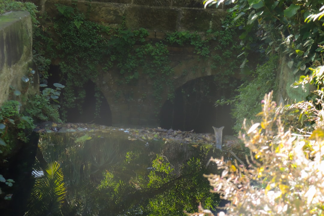 Sinkhole