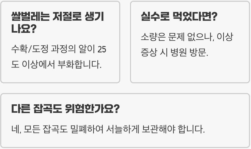쌀벌레 먹은 쌀, 먹어도 괜찮을까? (진실 혹은 거짓)