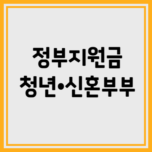 2025 청년·신혼부부 정부지원금 BEST 5