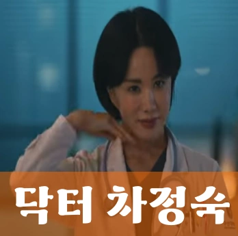드라마 닥터 차정숙