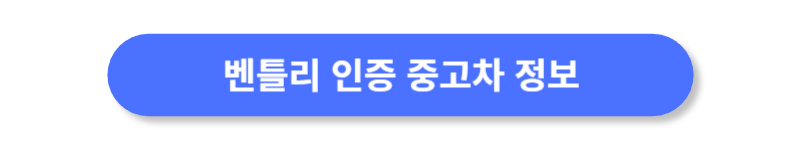 버튼
