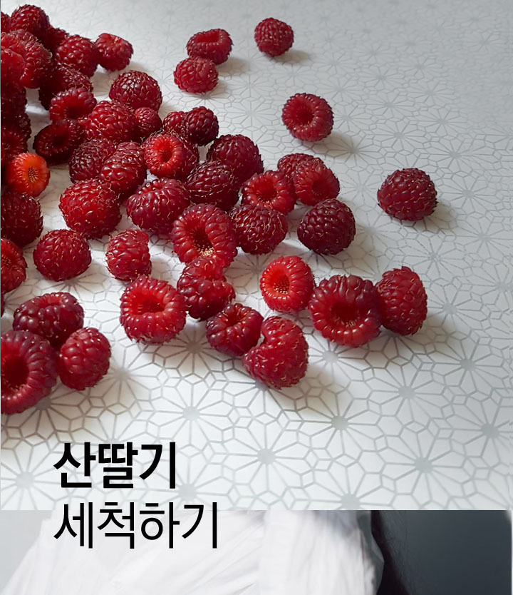 산딸기-세척