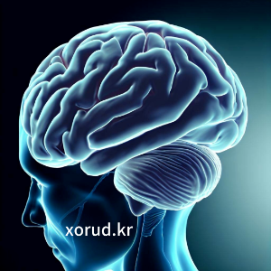 뇌혈관-질환