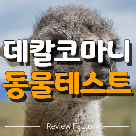 데칼코마니 동물테스트