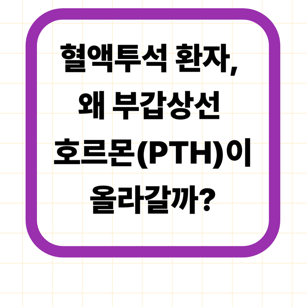 혈액투석 환자, 왜 부갑상선 호르몬(PTH)이 올라갈까?