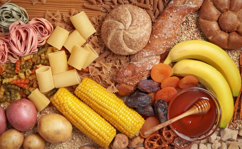 탄수화물 분해 성분 추천