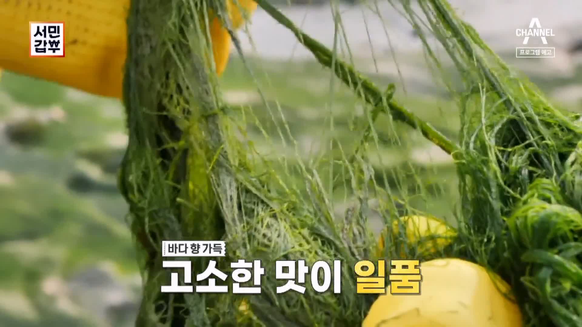 서민갑부 재래 전통 시장 국민 밥반찬 바다의 약초 김 감태 파는 연 매출 26억 원 청년 장사꾼 차현석 방송 정보