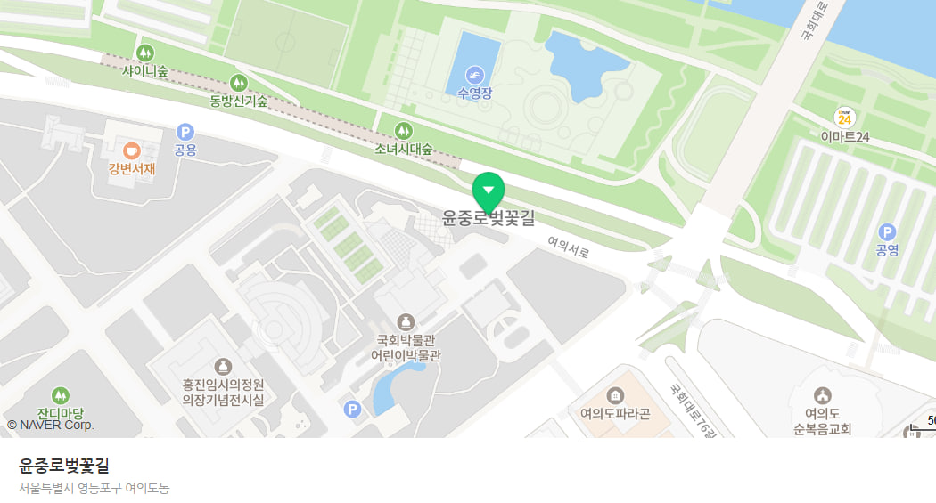 전국 벚꽃 봄축제 추천 Best 5- 여주흥천남한강벚꽃축제