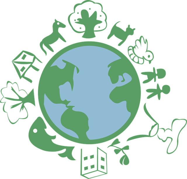 폐허가 된 공간에서 피어난 친환경 삶의 철학