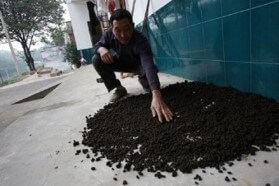 똥밭 꿈 해몽풀이 [무료 꿈해몽]