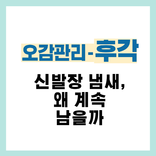 13편. 신발장 냄새 안 없어지는 이유｜냄새 나는 집의 공통 문제