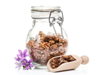 면역력 높이는 영양제 프로폴리스 효능 및 부작용