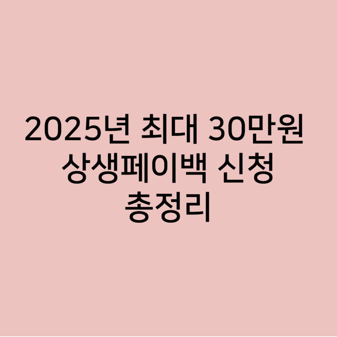 상생페이백