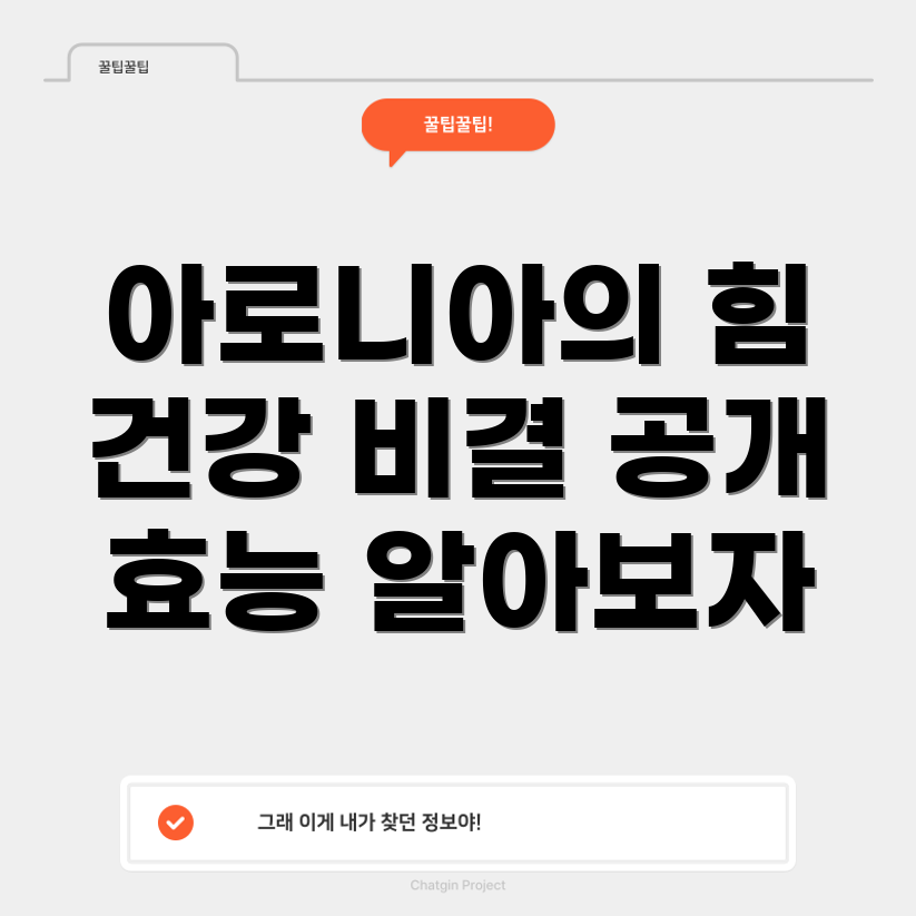 아로니아의 효능