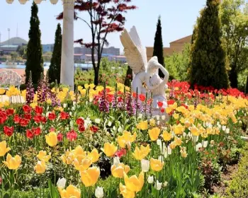 퍼스트가든 봄꽃축제 블루밍가든_4