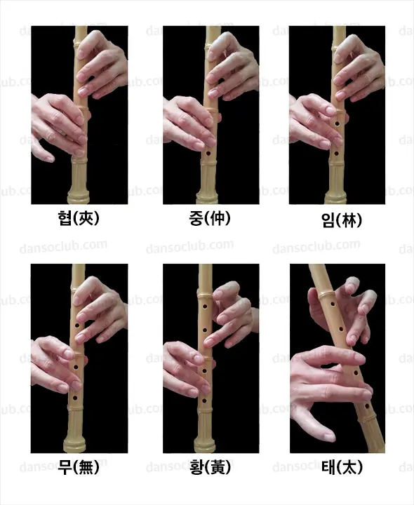 5개 지공 사용 단소 운지법