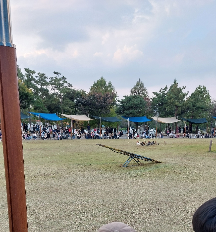 안성팜랜드 가축놀이 한마당 꼬꼬댁 퇴장 모습