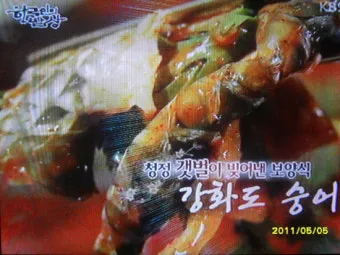 강화도 숭어낚시 최고 포인트 추천 정확한 주소와 주차 정보_14