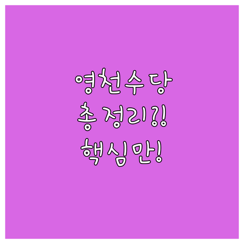 2025 영천시 참전명예수당 총정리 ..