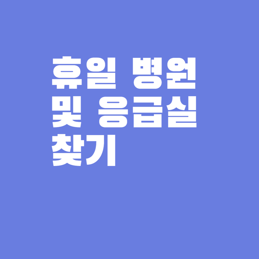 휴일 병원 및 응급실 찾기