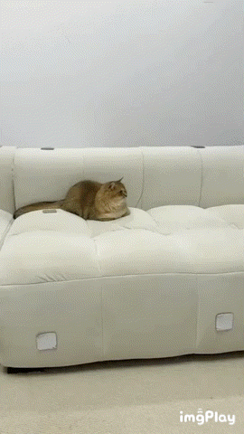 1203