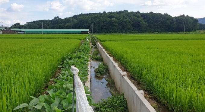 2025 공익직불금 신청방법 및 신청자격