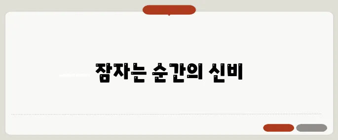 가위에 눌리는 이유 과학적 원인까지 해석