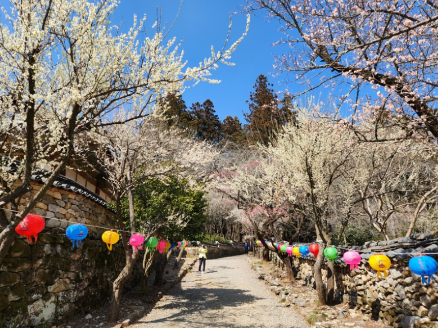 순천 선암사 1