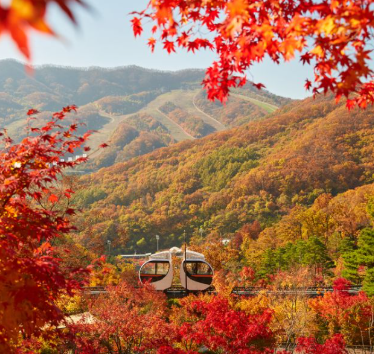 화담숲 예약 3분만에 성공하는 꿀팁