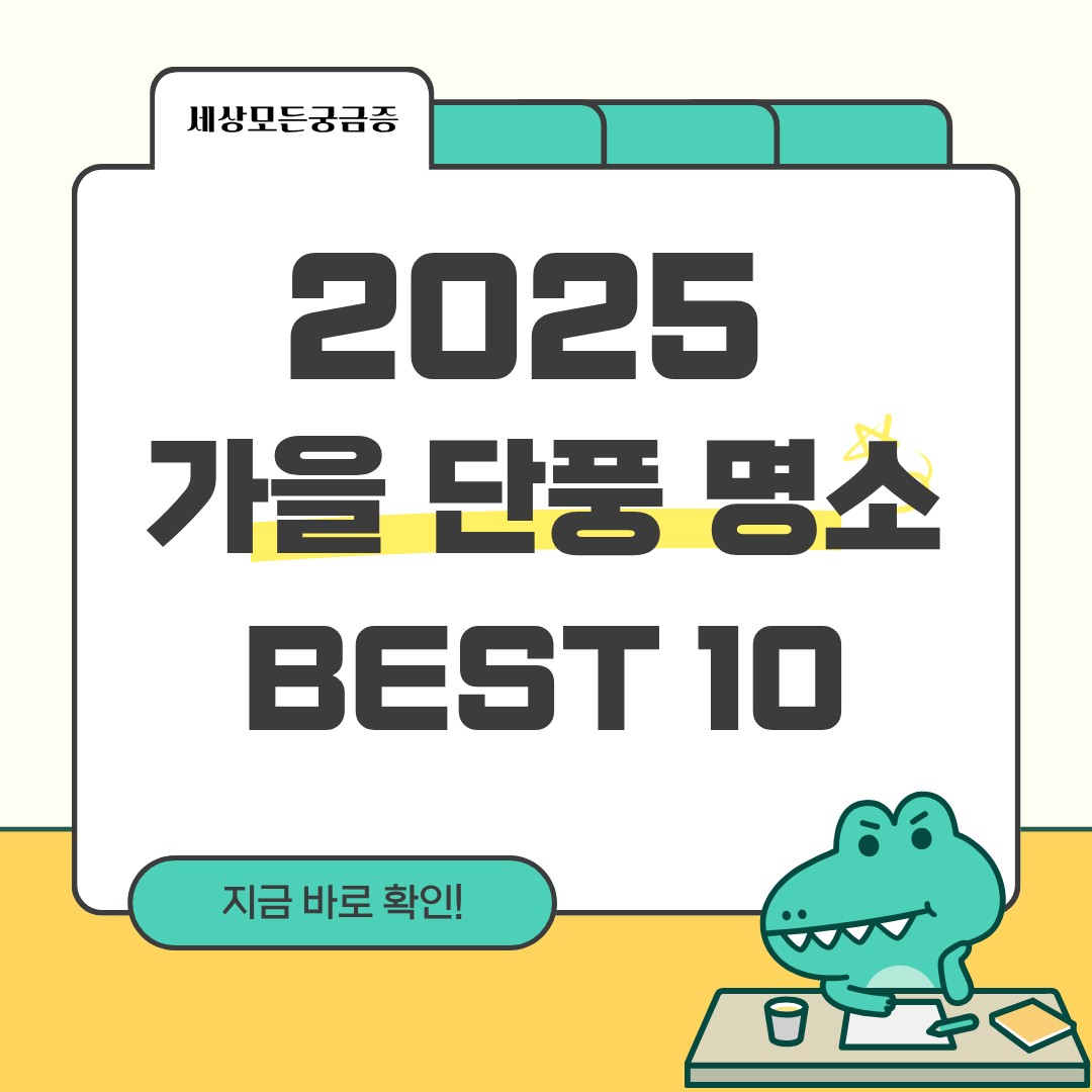2025 가을 단풍 명소 BEST 10
