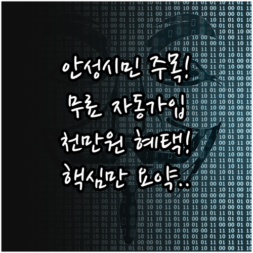 2025 안성시 시민안전보험 무료 자..