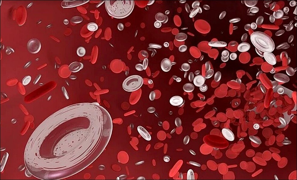 폴리코사놀 효능 부작용 총정리