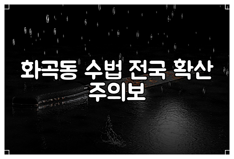 화곡동 수법 전국 확산 주의보